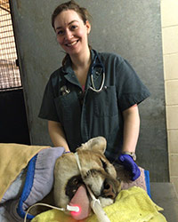 Dr. Crystalyn Legg-St. Pierre